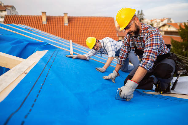 Best Storm Damage Roof Repair  in Mcdonald, OH