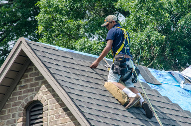 Best Roof Restoration Services  in Mcdonald, OH